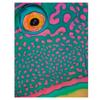 Alex Mustard Bi-Colour Parrotfish Print