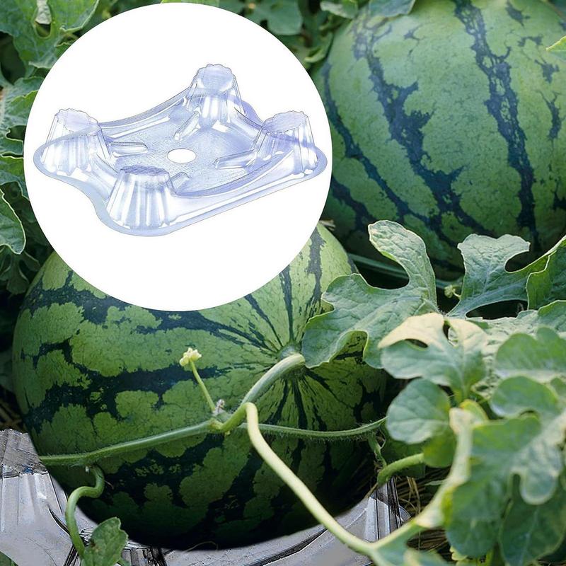 50pcs Garden Plant Support Cradle Plastic Melon Watermelon Pumpkin Prevents Rotting Transparent Protector Gardening Supplies