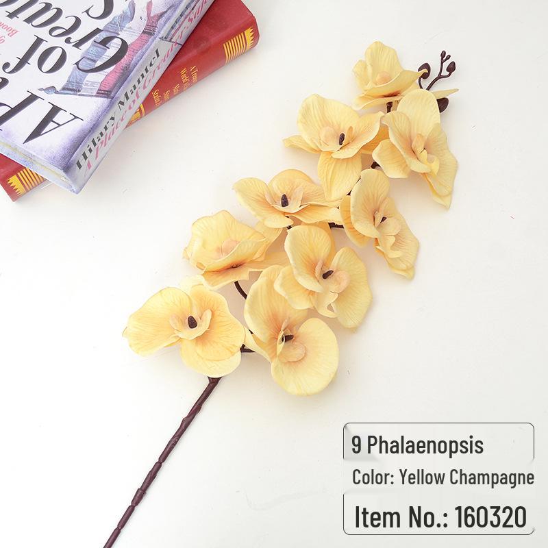 9-Head Phalaenopsis Orchid for Home, Project Landscaping, or Wedding Decoration