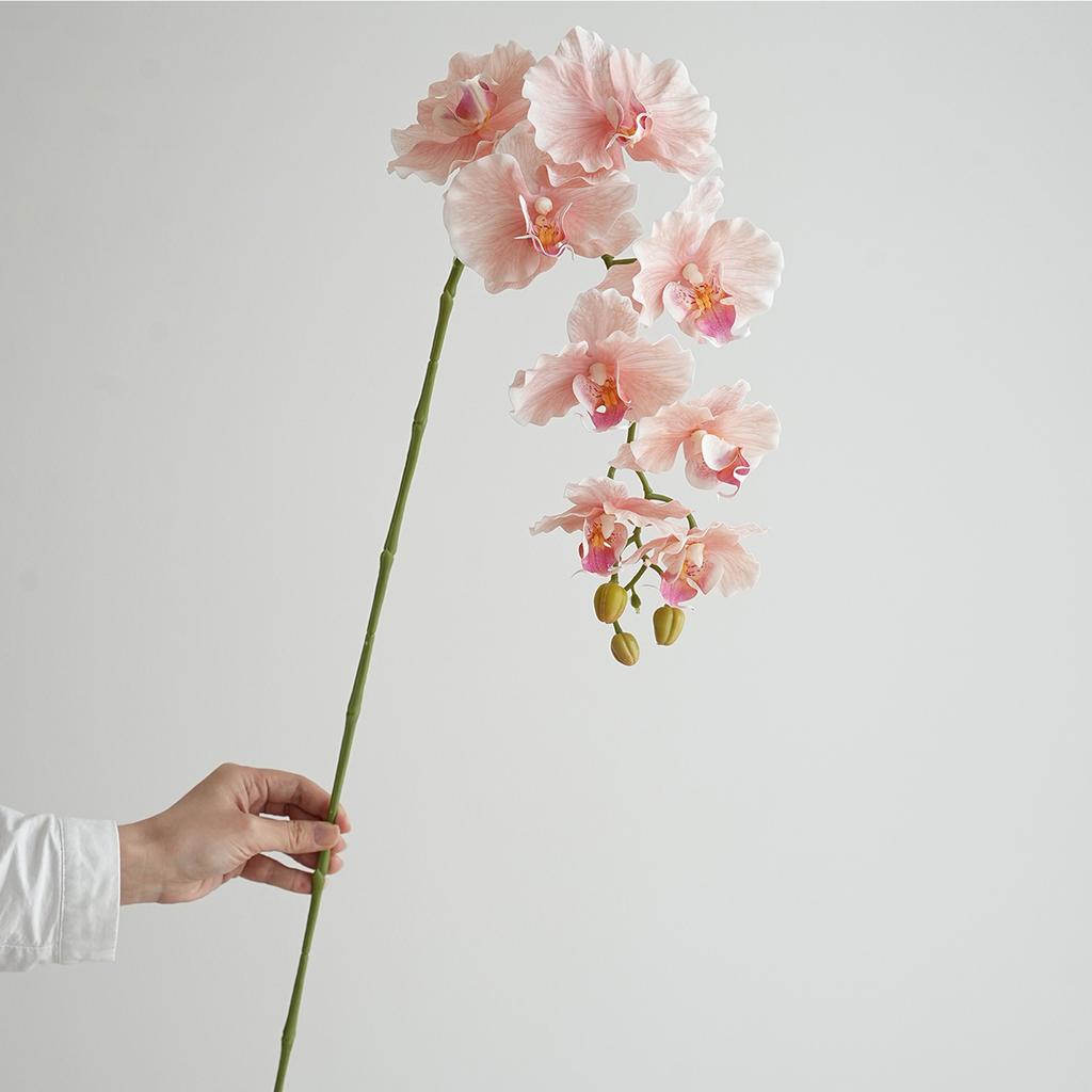 Künstliche Phalaenopsis Orchideenblüten Hochzeit Dekorative Phalaenopsis Realistische Orchidee Lange Stiele 9 Köpfe Heim Indoor Deko