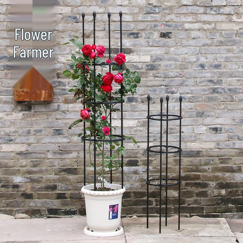 Free Shipping Clematis & Rose Climbing Frame Plant Support