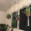 Hand Woven Hanging Basket. Plant holder & mesh bag for balcony gardening.