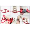 Dog Cat Harness Collar Leash Fashion Bones Paws Print Safety Traction Rope