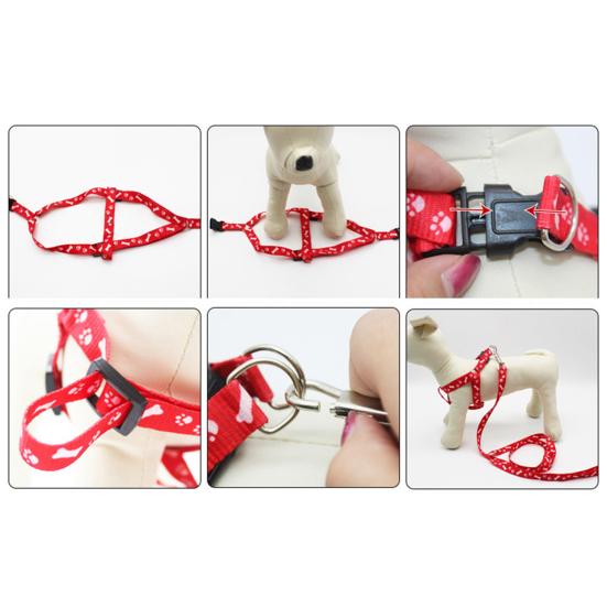 Dog Cat Harness Collar Leash Fashion Bones Paws Print Safety Traction Rope