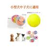 SCHITEC Dog Toy Ball with Sound [Set of 6] Dog Egg Educational Toy Chew Toy Educational Toy Relieve Stress and Lack of Exercise Suitable for Small