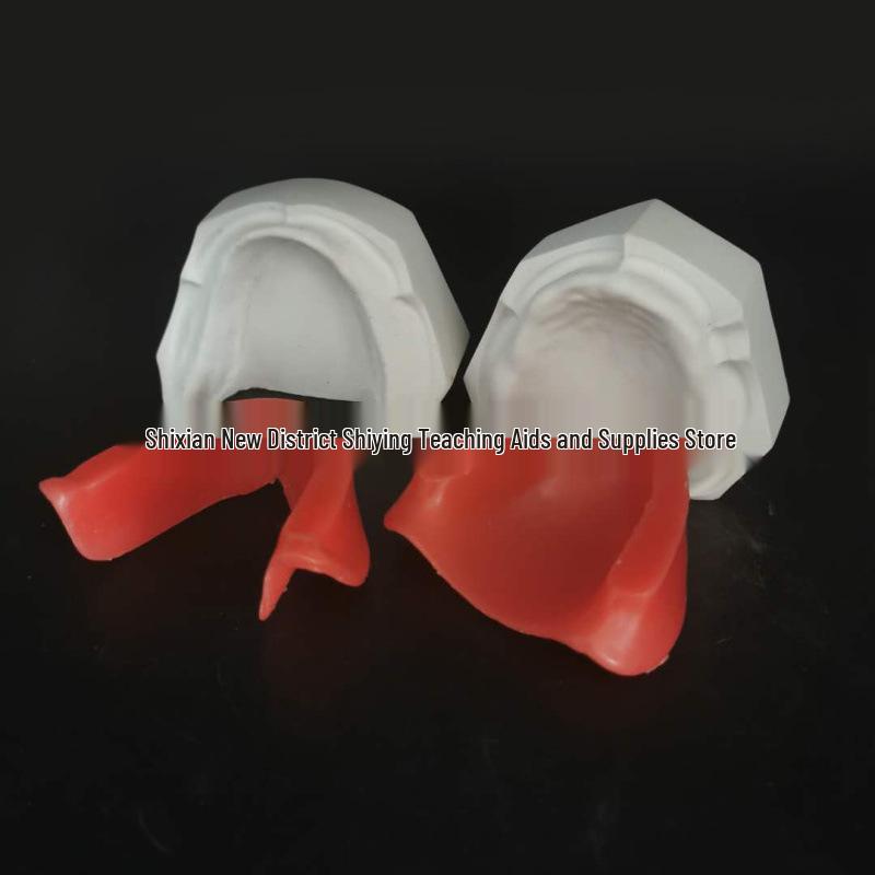 Dental Edentulous Wax Rim Model - Student Practice Denture Base