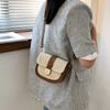 Straw Woven Bag Female 2025 New Fashion Simple Small Fresh Single Shoulder Messenger Bag Foreign Style Saddle Bag