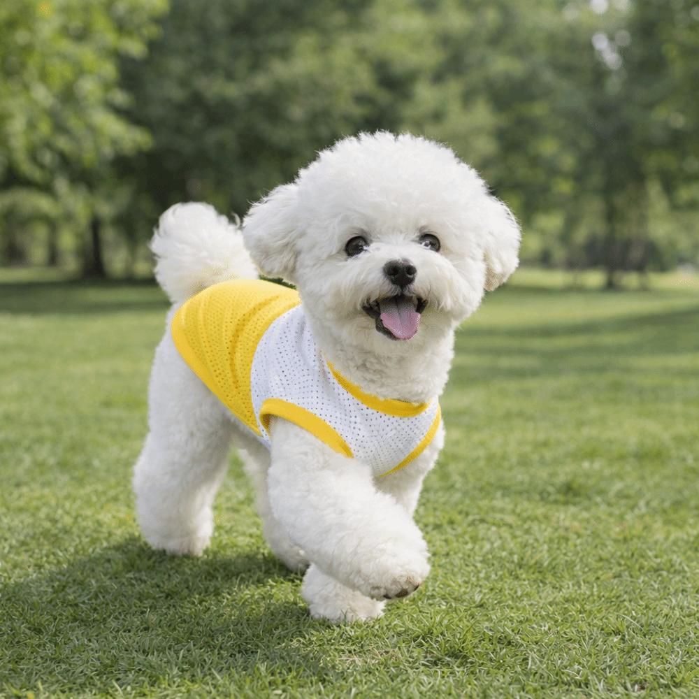 Lightweight Pet Mesh Vest Two-Tone Design Dog T-Shirt Fashion Summer Dog Clothing  Casual Outfit