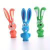 Giocattolo da Masticare Cane Cartone Animato Squeaky - Lattice Resistente, Occhi/Orecchie Espressivi, Senza Batterie, Interattivo per Tutte le Razze