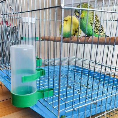 Pet Bird Drinker Feeder for Cage Bird Supplies Parrot Parakeet Automatic Water Cups Bird Feeder Bottle Automatic Bird Feeder