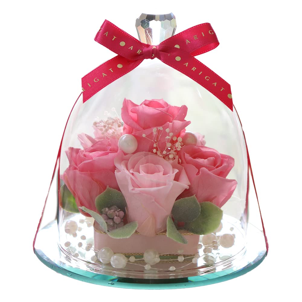 

IPFA Стабилизированные цветы Стеклянный купол Элегантность Премиум Ты Подарок на день рождения Свадебный подарок Юбилей свадьбы Подарок на пенсию Подарок на 60-летие Популярные цветы