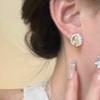 French Gentle Versatile Earrings Daily Sense Tassel Diamond Opal Simple Premium Sense Stud Earrings Women