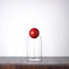 Modern Glass Coffee Bean and Tea Storage Jar with Cork Stopper