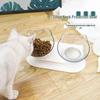 Double Transparent Cat & Dog Bowl with Stand - Slanted Design Protects Spine