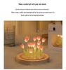 Tulip Night Light DIY Kit: Handmade Bedroom Ornament, Perfect for Gifts