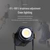 FB 300W COB LED Studio Video Light