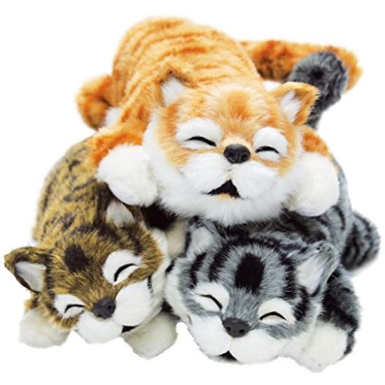 SPACERAIL Laughing Gray Cat,