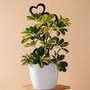 Artistic Heart Shape Iron Garden Trellis Stake for Climbing Plant Support and Outdoor Yard Decoration with Rust Resistant