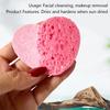 5Pcs Cellulose Face Sponges Compressed Facial Cleansing Massage Tools Pore Exfoliating Makeup Removal Spa Quality
