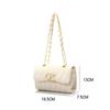 Fashion Chain Small Satchel Niche Bag Light Luxury New Versatile Messenger Shoulder Commuter Bag