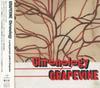CD GRAPEVINE - Chronology - A Young Persons' Guide PCCA01986PROMO Pony Canyon 2004 Japan ObiJapanese Pop/Rock Used