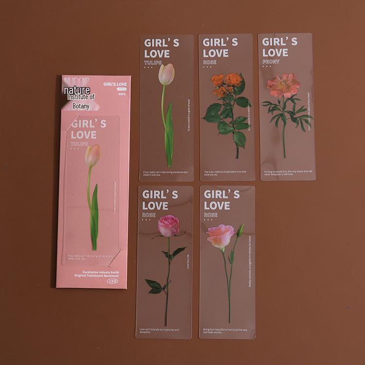 Momo Dried Flower Bookmark Set: 6 Translucent PET Designs for Journals & Books