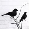 6PCS Halloween Crow Prop Large Realistic Raven Feathered Spooky Party Home Decor