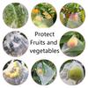 50Pcs Grapes Fruit Protection Bags Pest Control Anti-Bird Garden Netting Bags Mesh Agricultural Tree Garden Tool Bags