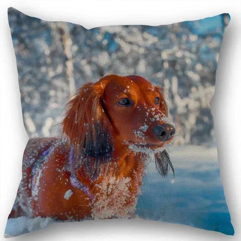 

Dachshund Pillowcase Square Zipper Home Wedding Decoration Non-fading 450*450mm