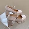 Lucyever Patent Leather High Heels Mary Jane Shoes for Women Spring New Chunky Platform Pumps Woman Punk Thick Heel Lolita Shoes