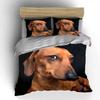 Brown Dachshund On Black Background Bedding Duvet Cover Set  (1*Duvet Cover 2*Pillowcases, Without Duvet Insert)
