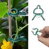 10pcs Adjustable Plant Clips - Reusable Garden Support for Flowers, Vines, Vegetables & Tomatoes - Essential Gardening Tools