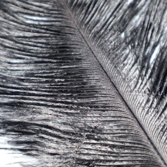 BDSM Feather Teaser Wand with Black Feathers Soft Sensual Tickler for Couples' Foreplay & Roleplay Lightweight Discreet Adult Toy for Intimate Play &