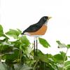 Soil Moisture Meter Bird Shape Watering Reminder Hygrometer Sensor