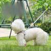 Cani – Collari e guinzagli per cani