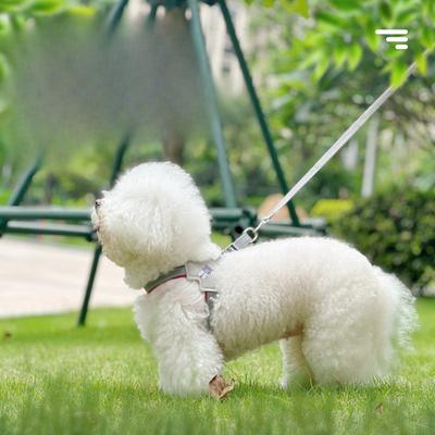 Dog Leash, Vest Dog Walking Leash, Teddy French Bulldog, Corgi, Medium Dog, Small Dog, Pet Chest Harness