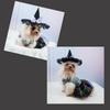 Halloween Pet Hat Holiday Decoration Pumpkin Spider Bat Decoration Dogs Cat Hat Non-woven Fabric Creative Novel Dog Pet Hats