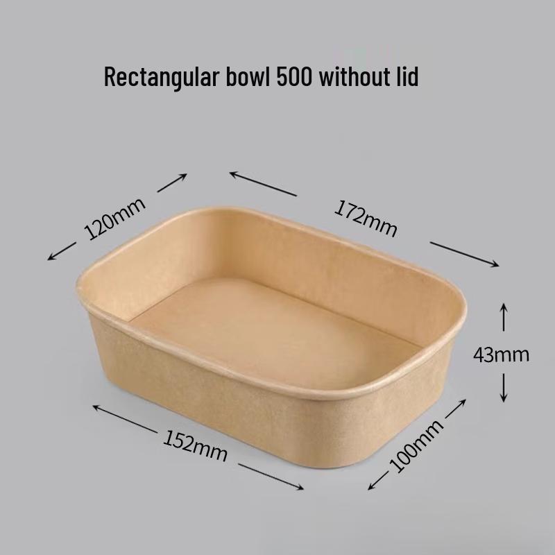 Disposable Rectangular Plastic Takeout Containers