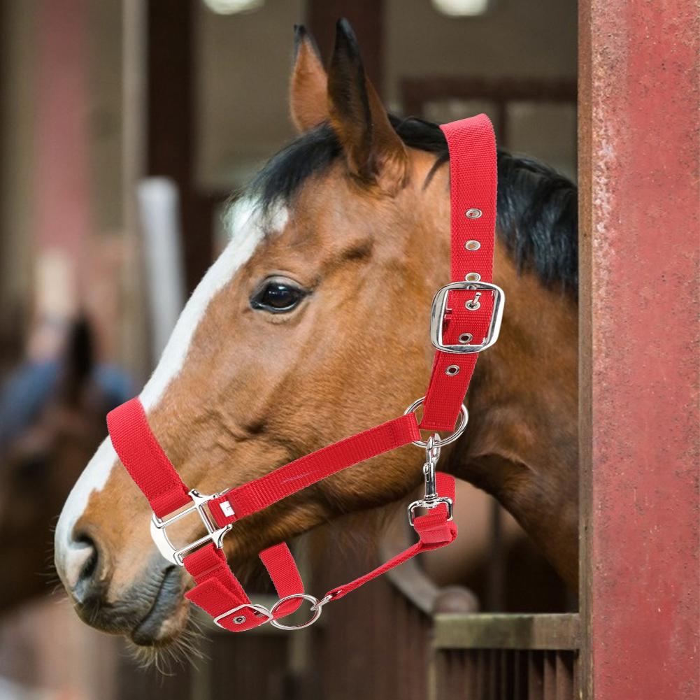 Briglia per Cavallo Regolabile Colore Rosso Ispessito 6mm Cavezza di Controllo Accessori per Equitazione