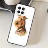 Airedale Terrier Dog Case For Samsung Galaxy M15 M35 M55 M56 M36 M16 M06 M31 M13 M33 M53 M12 M32 M52 M14 M34 M54
