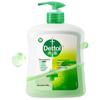 Dettol Classic Pine Antibacteriële Handzeep Duopack
