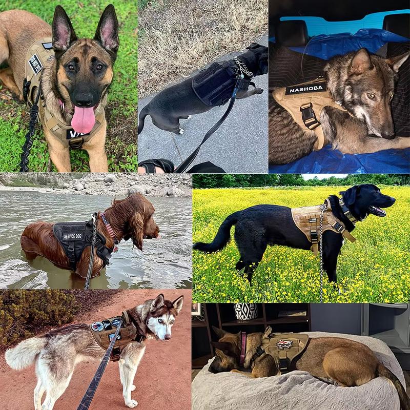 Wojskowe Szelki dla Dużego Psa Obroża Smycz Torby Naszywki Zestaw Zwierzę Domowe Malinois Kamizelki Treningowe Taktyczne Szelki dla Psów Akcesoria