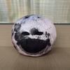 New The Moon Woke Up Plush Catoon Creative The Moon Woke Up Plushie Halloween Party Home Decor Soft Doll Kids Gift
