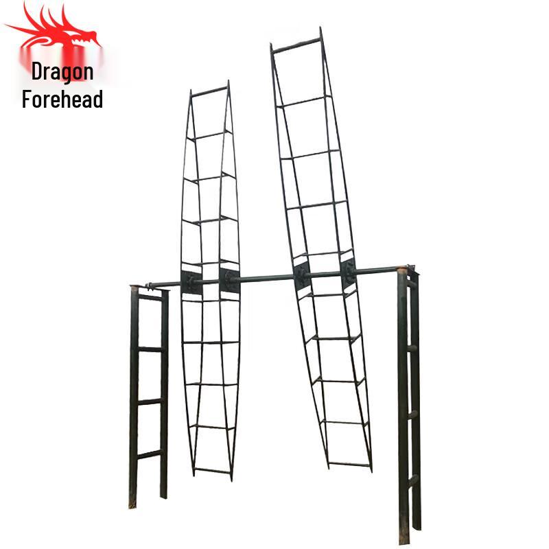 Outdoor Dual Rotary Ladder Fitness Equipment