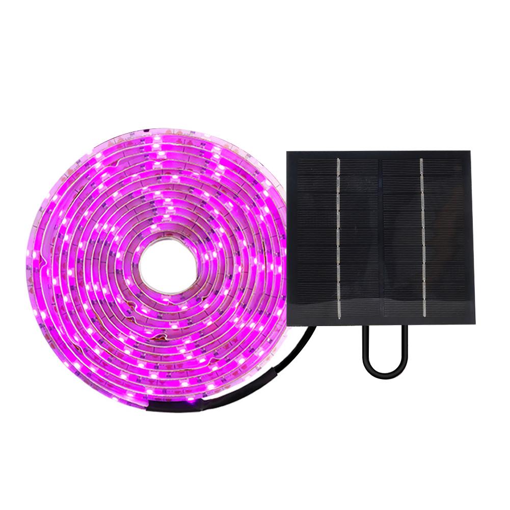 

5M Flower Seed Hydroponic Light Full Spectrum Flower Seedling Growing Lamp DC 5V 2835 SMD for Plants Hydroponics Growing System CHINA