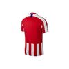Nike Soccer Jersey Men's Red White AJ5523-612