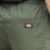 Dickies Straight Pants