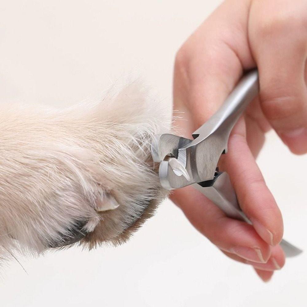 Professional Pet Nail Clipper Stainless Steel Cat Nail Cutters Pet Toe Trimmer  For Dog Cats