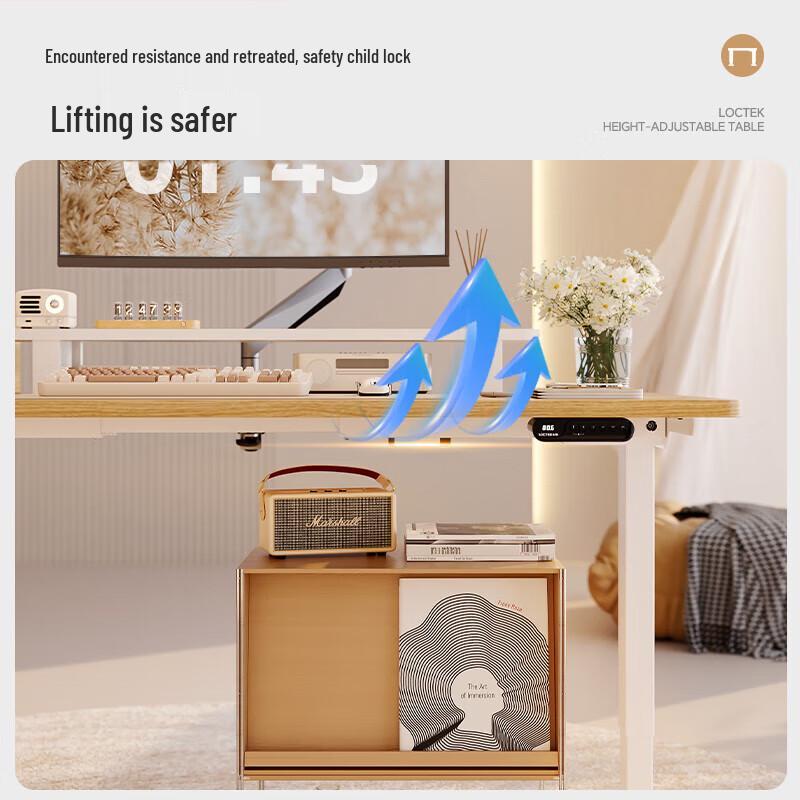 Loctek Dual Motor Standing Desk