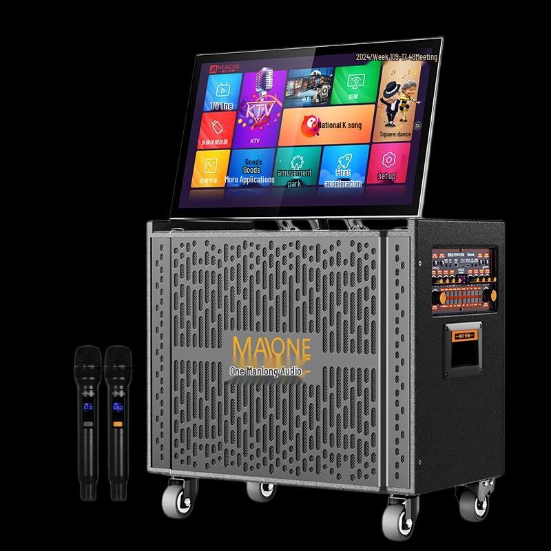 MALONE Portable KTV Speaker with 19.5-inch Display CN Plug (adapter Included)